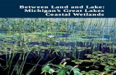 Between Land and Lake: Michigan’s Great Lakes Between Land and Lake: Michigan’s Great Lakes Coastal Wetlands. Michigan Natural Features Inventory, Michigan State University Extension,
