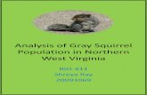 Ecology of grey squirrels
