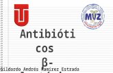 Antibioticos betalactámicos (veterinaria)