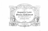 Ave Maria - Franz Schubert für Klavier