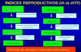 Farmacología reproductiva IDIAF