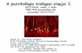 A pszichológia biológiai alapjai I. - · PDF file1. előadás: Az emberi szervezet felépítése –anatómiai alapok, sejt-és szövettan ... 7. előadás: A szív felépítése
