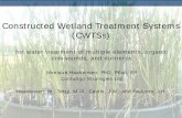 Constructed Wetland Treatment Systems (CWTS) · PDF file forward looking, lateral thinking . Experience • CWTS across North America • Elements, arsenic, cadmium, chromium, cobalt,