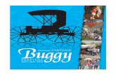 2010 Buggy Festival