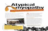 Atypical myopathy