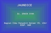 05 Jaundice