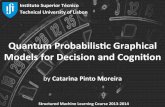 Quantum Models for Decision and Cognition