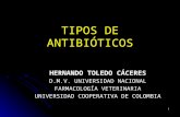 Tipos de antibióticos RED