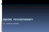 Equine Psychotherapy