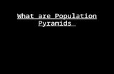 L2 ap population pyramids