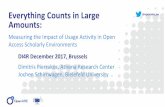 Everything Counts in Large Amounts: Measuring the Impact of Usage Activity in Open Access Scholarly Environments - #DI4R2017 session